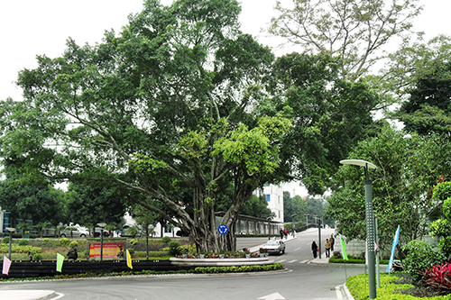 福州476医院体检中心