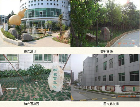 晋江市中医院体检中心