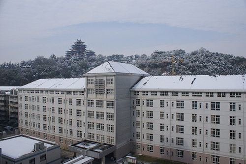 解放军长征医院南京分院体检中心雪景 解放军长征医院南京分院体检中心雪景