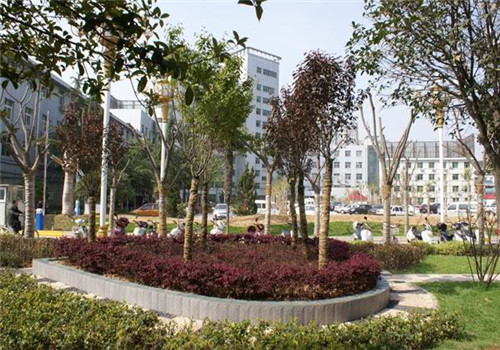 南阳市第一人民医院体检中心