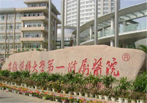安徽医科大学第一附属医院体检中心