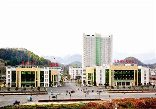 崇阳县人民医院体检中心大楼