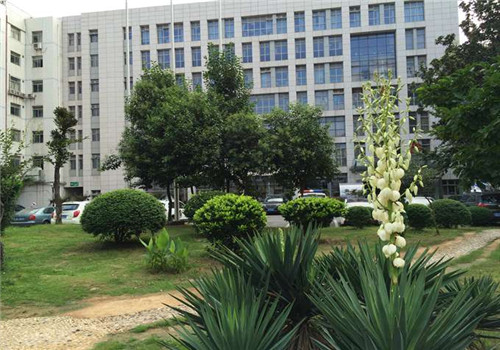 南京市第一医院体检中心医院一角 南京市第一医院体检中心医院一角