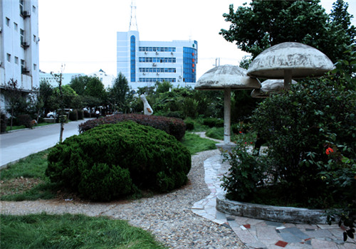 东海县人民医院体检中心绿化环境