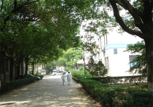 常州第三人民医院体检中心绿化环境 常州第三人民医院体检中心绿化环境