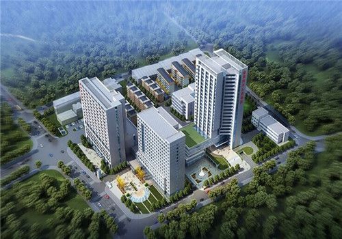 武冈市人民医院体检中心鸟瞰图