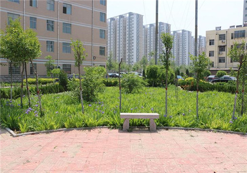 聊城市东昌府区中医院体检中心
