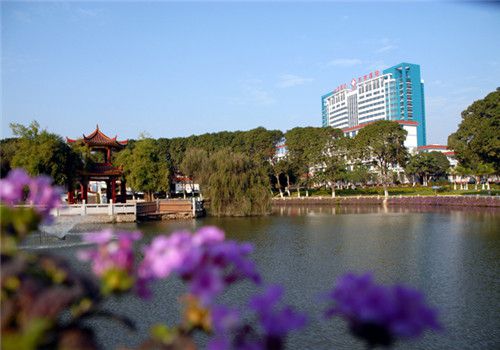 厦门大学附属东南医院体检中心周围环境