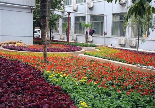 徐州市第六人民医院体检中心周围环境