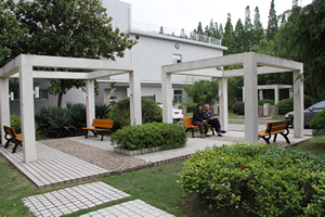 南通第三人民医院体检中心花园一角