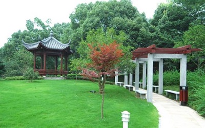x_1524300311.jpg