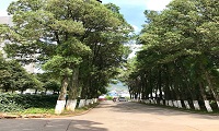 昆明市第三人民医院体检中心