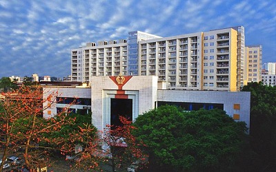 x_1493180733.jpg