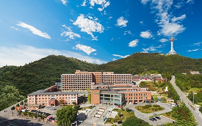 034f65fe-ca03-406d-bd84-7d0c445299f8.jpg