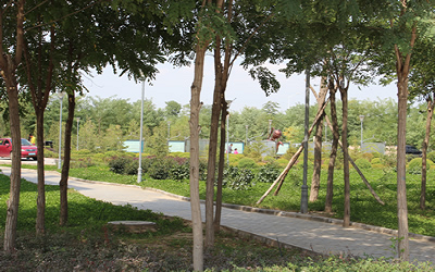 宁夏医科大学附属回医中医医院体检中心