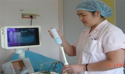 山东中医药大学第二附属医院