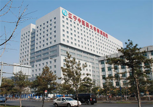 辽宁中医药大学附属第四医院