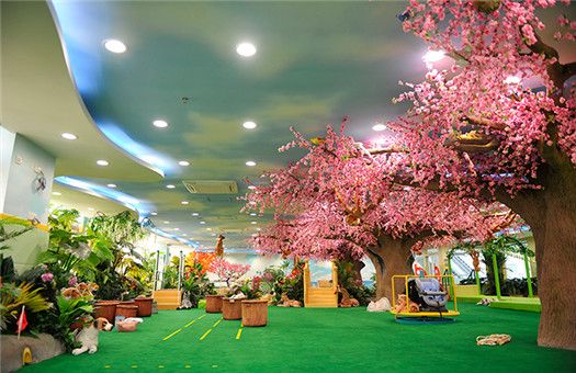 江门市妇幼保健院
