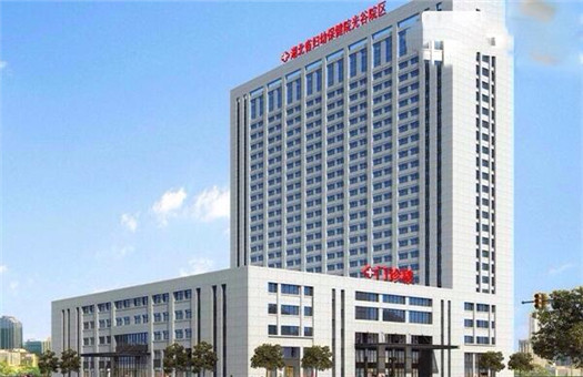 湖北省妇幼保健院体检中心（光谷院区）