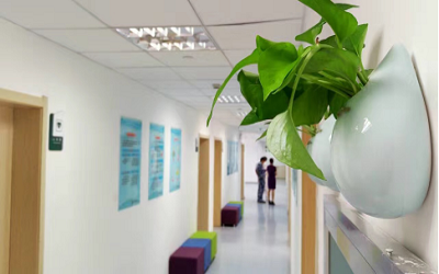 中国人民解放军联勤保障部队第九零六医院（原118医院）