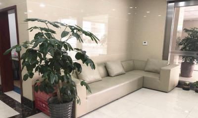上海中医药大学附属曙光医院(西院)