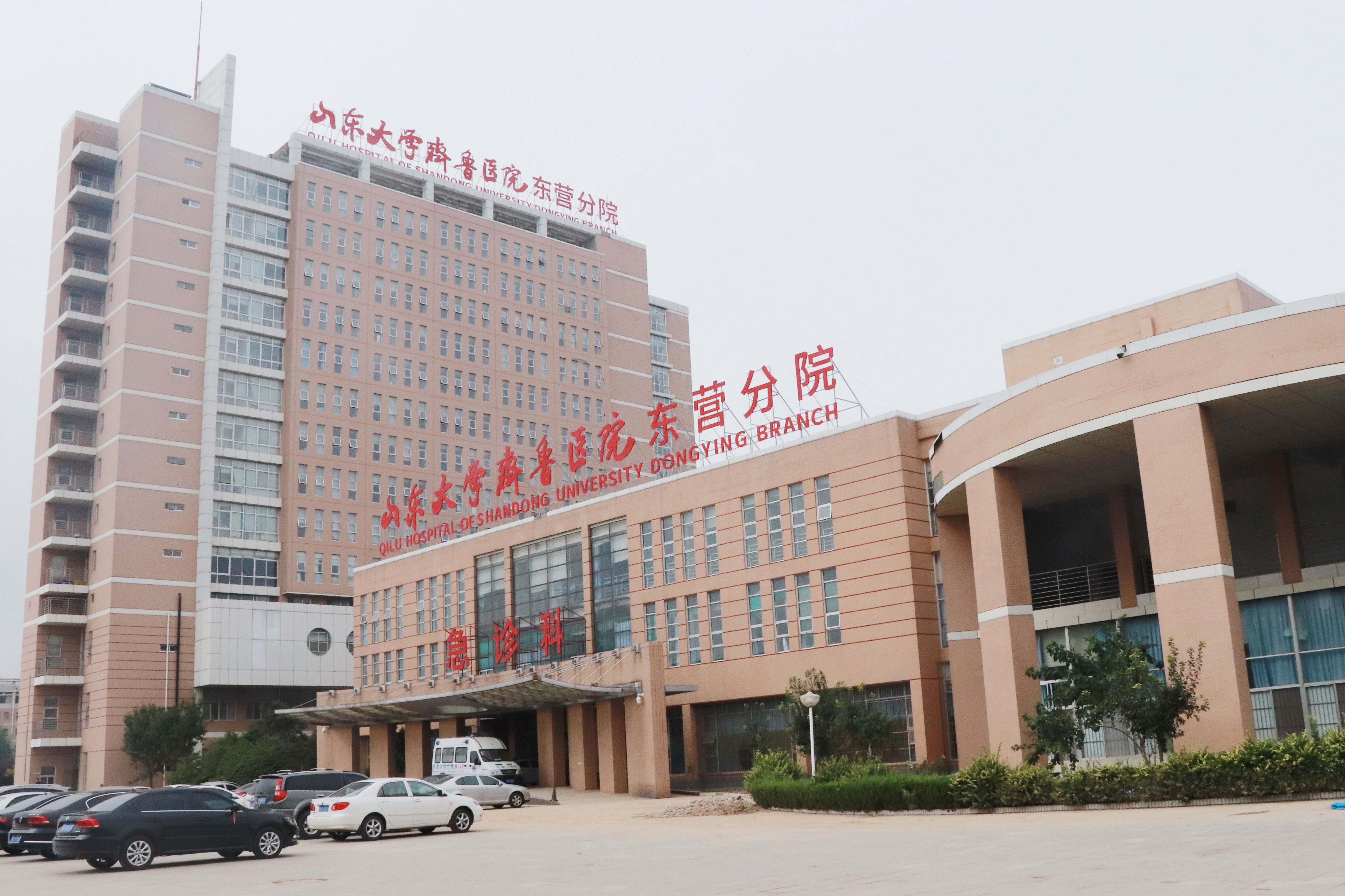 东营鸿港医院健康管理中心