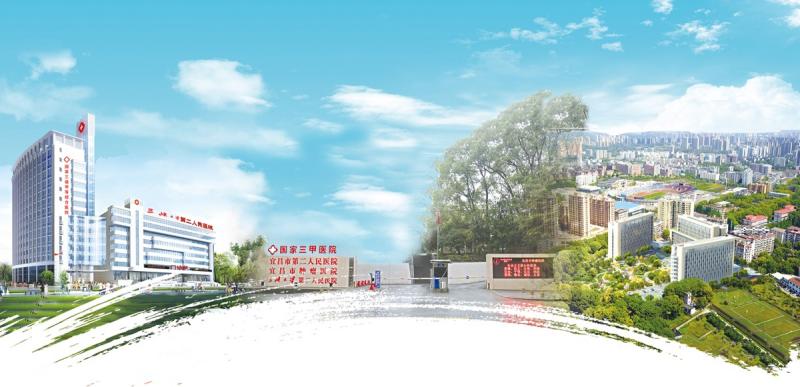 宜昌市第二人民医院