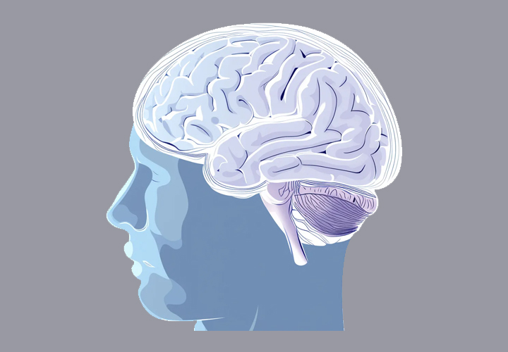 d413b295-1ceb-4e16-9519-e7e54096004f.jpg 1.jpg