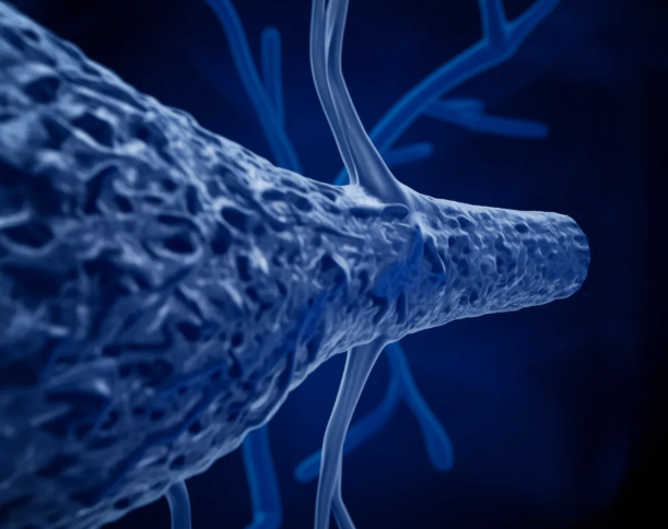 颈动脉彩超 + 心电图 颈动脉彩超 + 心电图