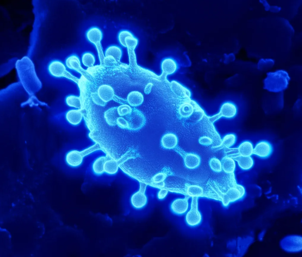 乙肝大三阳 乙肝大三阳