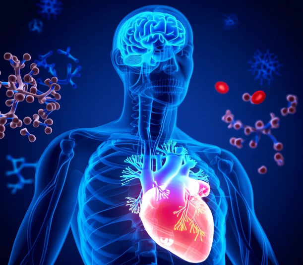 心肺功能下降 心肺功能下降