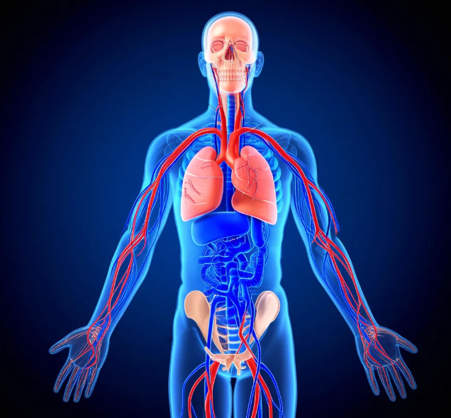 温州心脑血管检查套餐推荐(2025年参考) 温州心脑血管检查套餐推荐(2025年参考)