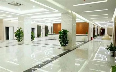 美年大健康集团的官方网站网址