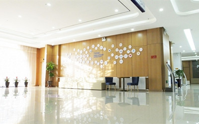 【高端/可选加项】（部分需额外付费）