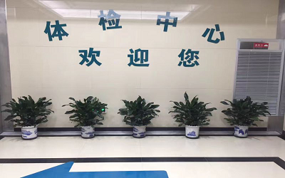 温州中西医结合医院体检中心支持哪些体检项目？