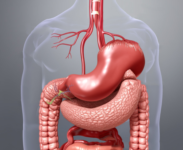大便常规6项是哪六项