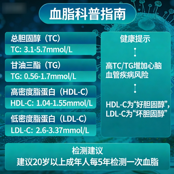 血脂检查 血脂检查