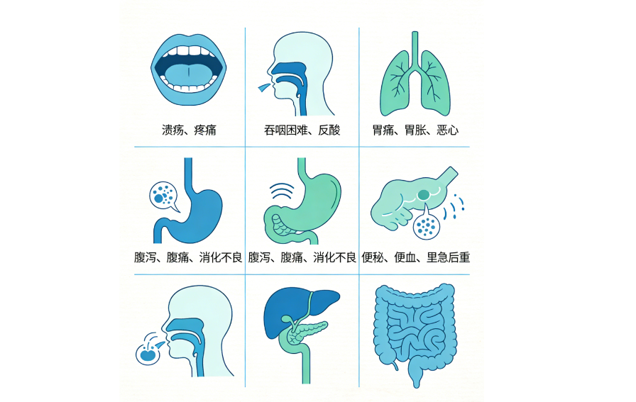 肝功能不好有什么症状和预兆