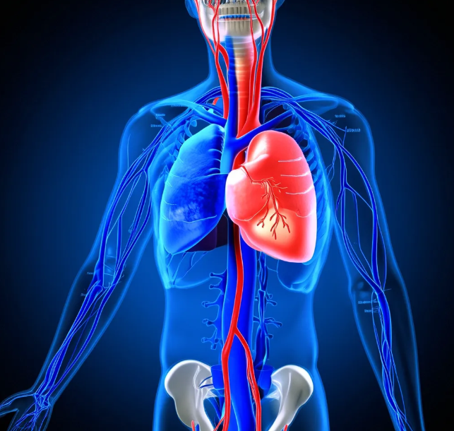 60岁女人要检查哪些项目